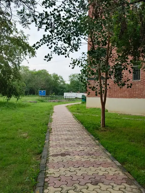 Photograph 8